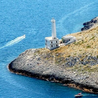 frisolo82's profile picture. 