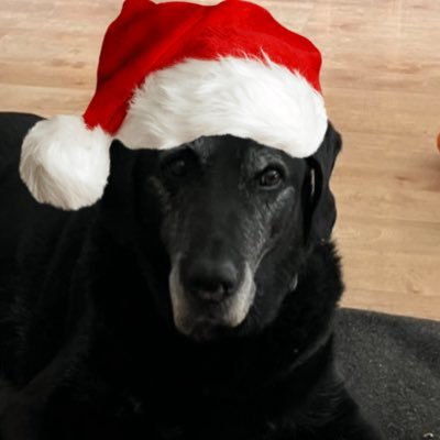 PatrickNelisArt's profile picture. He/Him/His | Instagram: https://t.co/Y6nwjlaBNM | My Shop: https://t.co/gxFPl5fvG9