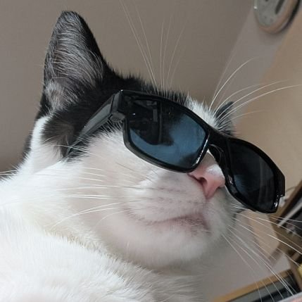 ryunight2's profile picture. 第25.26回オラザク 1次通過                                                        
'22ホビージャパン第1回境界戦機コンB.S受賞