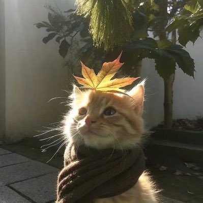 Scaleyy1's profile picture. @BlzEsp