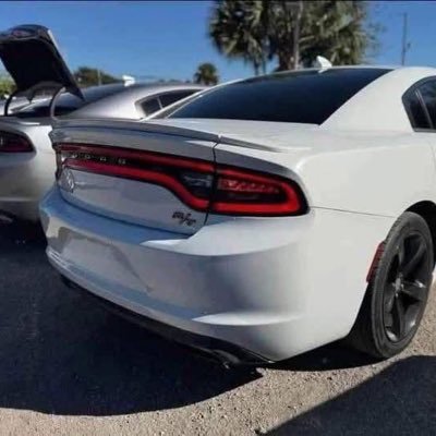 petersen_h67016's profile picture. Just being myself