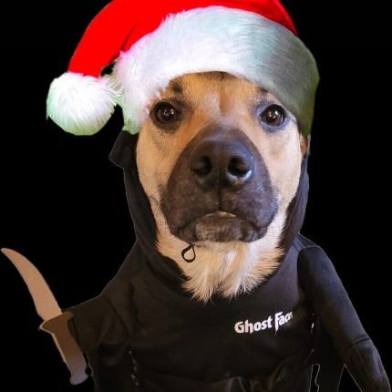 ogshoshi's profile picture. ✨️live✨️laugh✨️toaster bath✨️ just here to live tweet my mental breakdowns #actuallyautistic FREE PALESTINE 🇵🇸