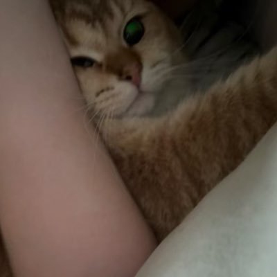 ZzZzZzZzluobo's profile picture. 灵魂是朵难养的花