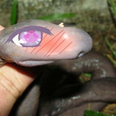 HissHitbox's profile picture. I'm just gonna sit in this totally not infamous white chair in the corner of the room and reply to things you post.