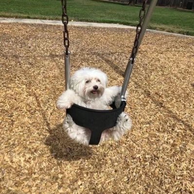 zio_n's profile picture. 