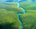 SaveTheAmazon's profile picture. 