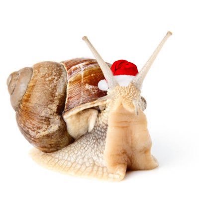 SQUIRTBELCHING's profile picture. i feel like an ant sometimes the way someone always comes and pours hot metal into my house