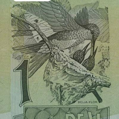 ROBSONSANTO239's profile picture. 🐈‍⬛🦉🐞