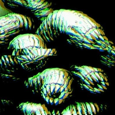 AnxiousSilksong's profile picture. Me/I 🏳️‍🌈 Only online before 9:20AM and after 4:00PM on weekdays. Furry/Zoo/Ped/Proship DNI