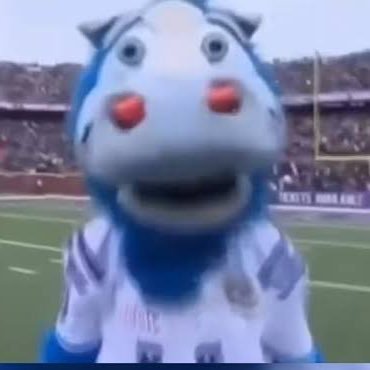 coltstakesREEEE's profile picture. 