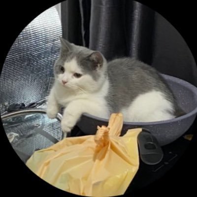 jjku_yrs's profile picture. 🌟 毎日を大切に生きる