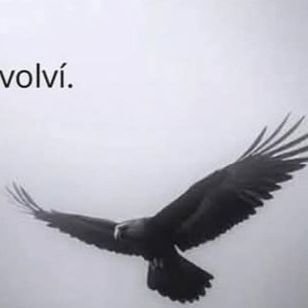 Zully1232's profile picture. 💮🌸🌼
quizás no era amor, tal vez era esa pequeña necesidad de sentir algo diferente algo que marcara  mi vida.....por completo -
Benedetti