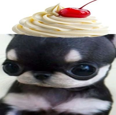 haikyuulvr's profile picture. some  people  will  call  this  spam  account  or  whatever  but  to  me  this  is  everything    https://t.co/fkLd6eprpJ https://t.co/KLXRDhwqYk