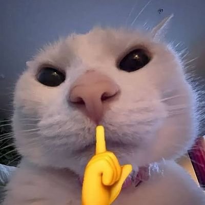 ht67jhgf34's profile picture. 