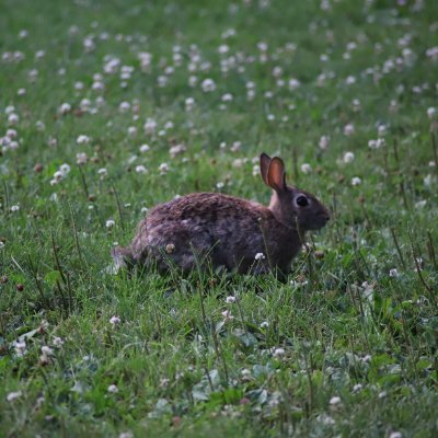 ExHeatwave's profile picture. 