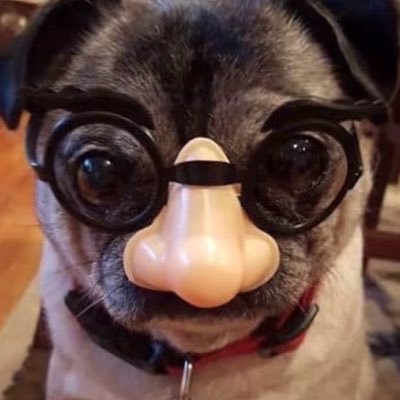 giannascoli's profile picture. Lead @Teaam2K