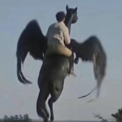 nuviaxo567's profile picture. man u