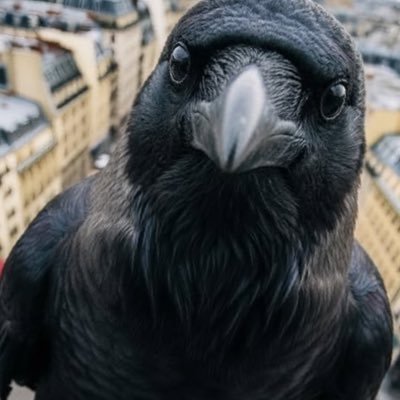 VOSSOV33's profile picture. 