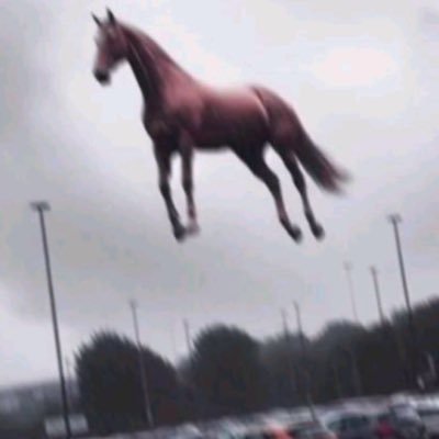 antiquef0rk's profile picture. 