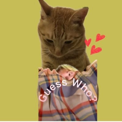 akokiaji's profile picture. 洋楽洋画一辺倒➡️スッキリでながら見ザスト➡️気づいたら大人BESTY マナトを溺愛🐬🐉💗BE:FIRSTの音楽愛💕無言フォロー大歓迎😇 タメ語でOK✌️見かけたら仲良くしてね。