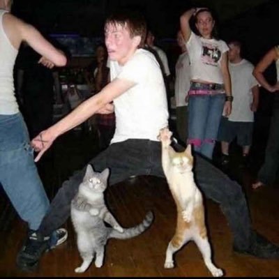 automaetopia's profile picture. automaetopia's stream-of-consciousness