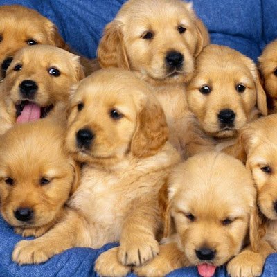 lima99883's profile picture. 