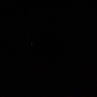 Psiniha's profile picture. 