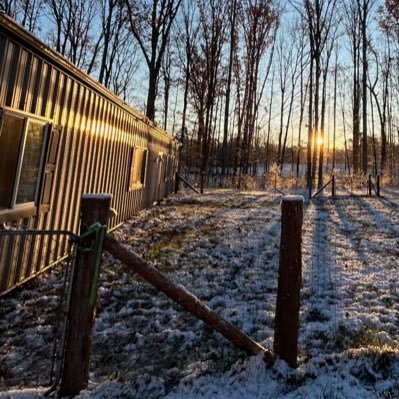 Chlodacat's profile picture. 