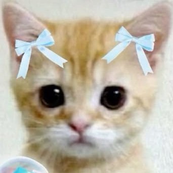 min_seo427's profile picture. 