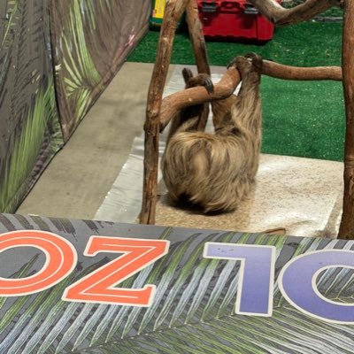 W0rldPrints's profile picture. dev 15