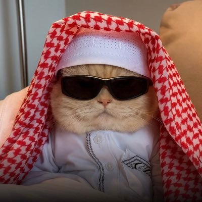 sheikhtomm's profile picture. 