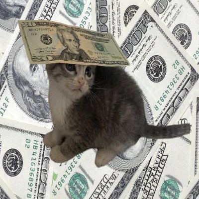 bucktobucks's profile picture. buck to bucks. CA:GpvSSMJRK4Dx77K2Pq1HfqzW2G3gYaSrmJr97yvypump