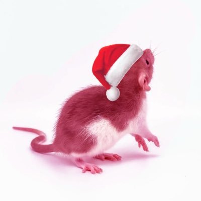 breadcrumbs_og's profile picture. call me bread :D (she/her) ROSCAL and proud🕹🩻|•| chronic stream lurker |•| oshi(s): RAVALAVALLUM!? + 🎫, 🍸, 🃏, 🔅 banner: @ziyaa130 ♡ (rt heavy)