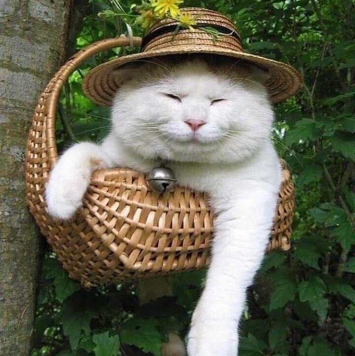 rec0nc11e's profile picture. 