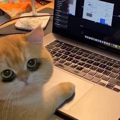 bqzforsucc10307's profile picture. -