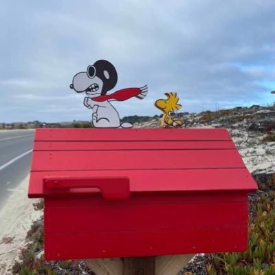 WCCN2022's profile picture. Transparency - Trust- & Building for the future. Be the Change.