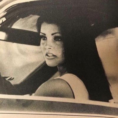 polymuses's profile picture. 