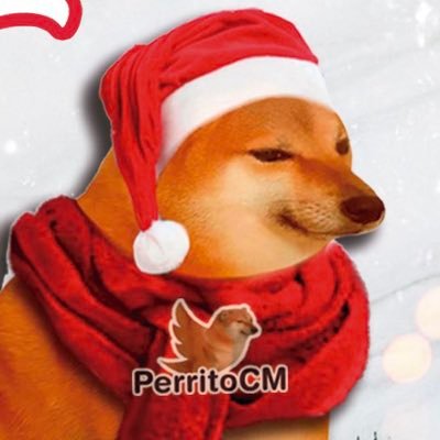 @PerritoCM