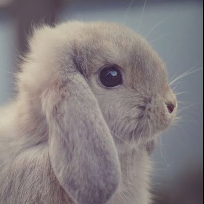 KNTh_oon's profile picture. 