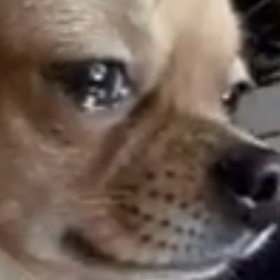 israelizei's profile picture. procurando passivo para ser meu dono