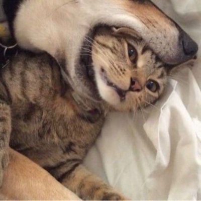 Maplecchi_'s profile picture. Te amo em cada estação @batataboca_ 🖤