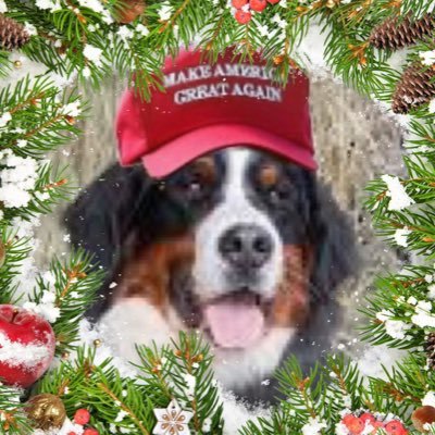 jtd_gameon12's profile picture. Retired PD-Veteran FB👉🏻 Dr Gorka, Gen. Flynn, Rita Cosby, Roseanne Barr, Scott Baio, Dinesh D’ Souza. -MAGA- @AmericanPatriot47