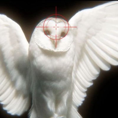 46wtig's profile picture. なんか毎日しんどいけど、とりあえず生きてる。