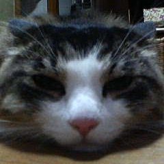 jumpppppping's profile picture. 