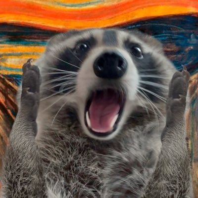 1defini6's profile picture. Former bank robber turned repentant. |web3 full time|@algorand head of piracy; 369Piracy;Partners:@crocs