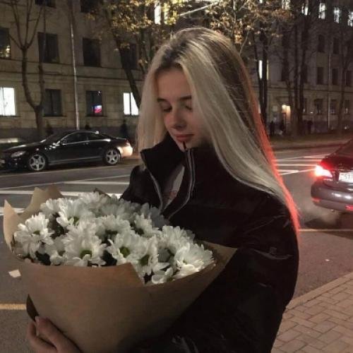 CorgiFree11434's profile picture. Star TV five act argue.