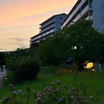 tryhteugh's profile picture. 旅先で見た景色が、私の生き方をそっと整えてくれる。
英瑞仏の後、日本語もゆっくり始めました。
投資は内省の時間。