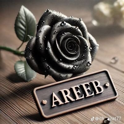 LRatieur2's profile picture. islam my identity 🥰