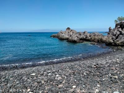 Marco561450's profile picture. 