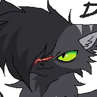 kivets_'s profile picture. 